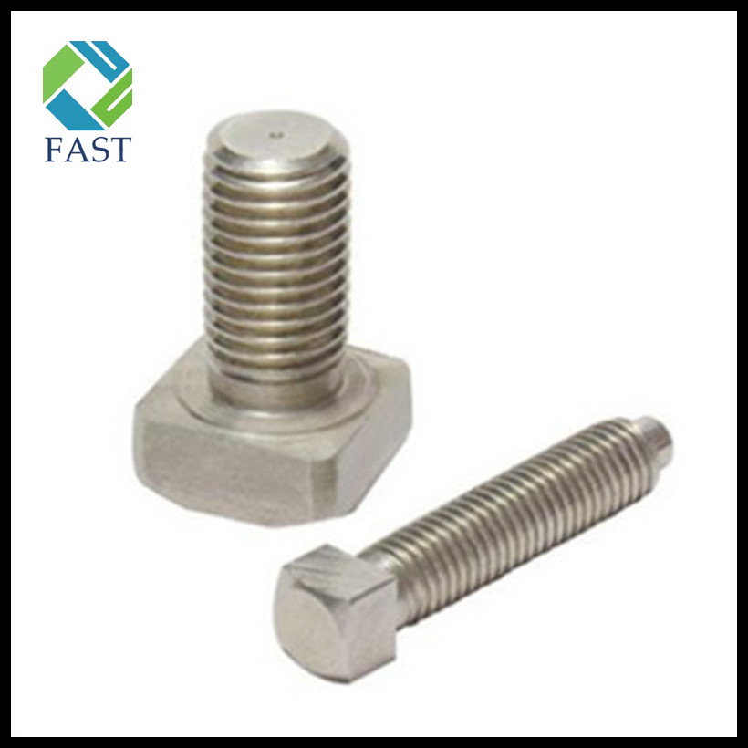 Stainless Steel Square Head T Bolt