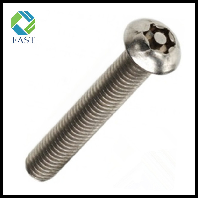 Torx Security Screw