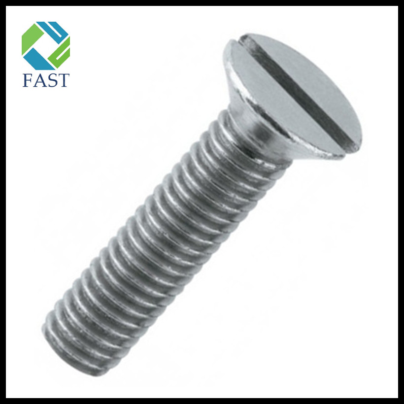 Slotted Countersunk Head Screw