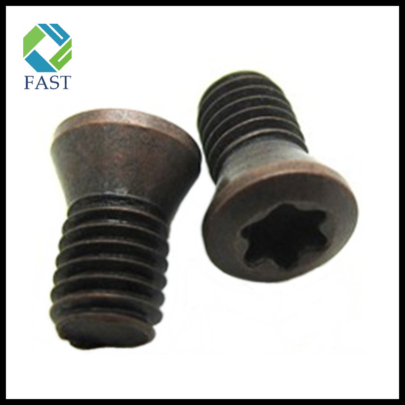 Grade 12.9 Torx Screw