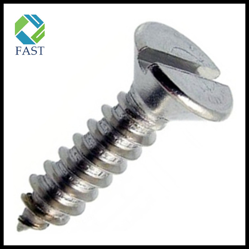 Slotted Self Tapping Screw