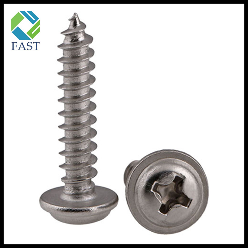 Pan Washer Head Self Tapping Screw